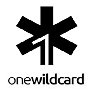 OneWildcard